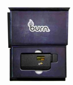 Burn Disposable Vape- Blueberry Mojito (Sativa)